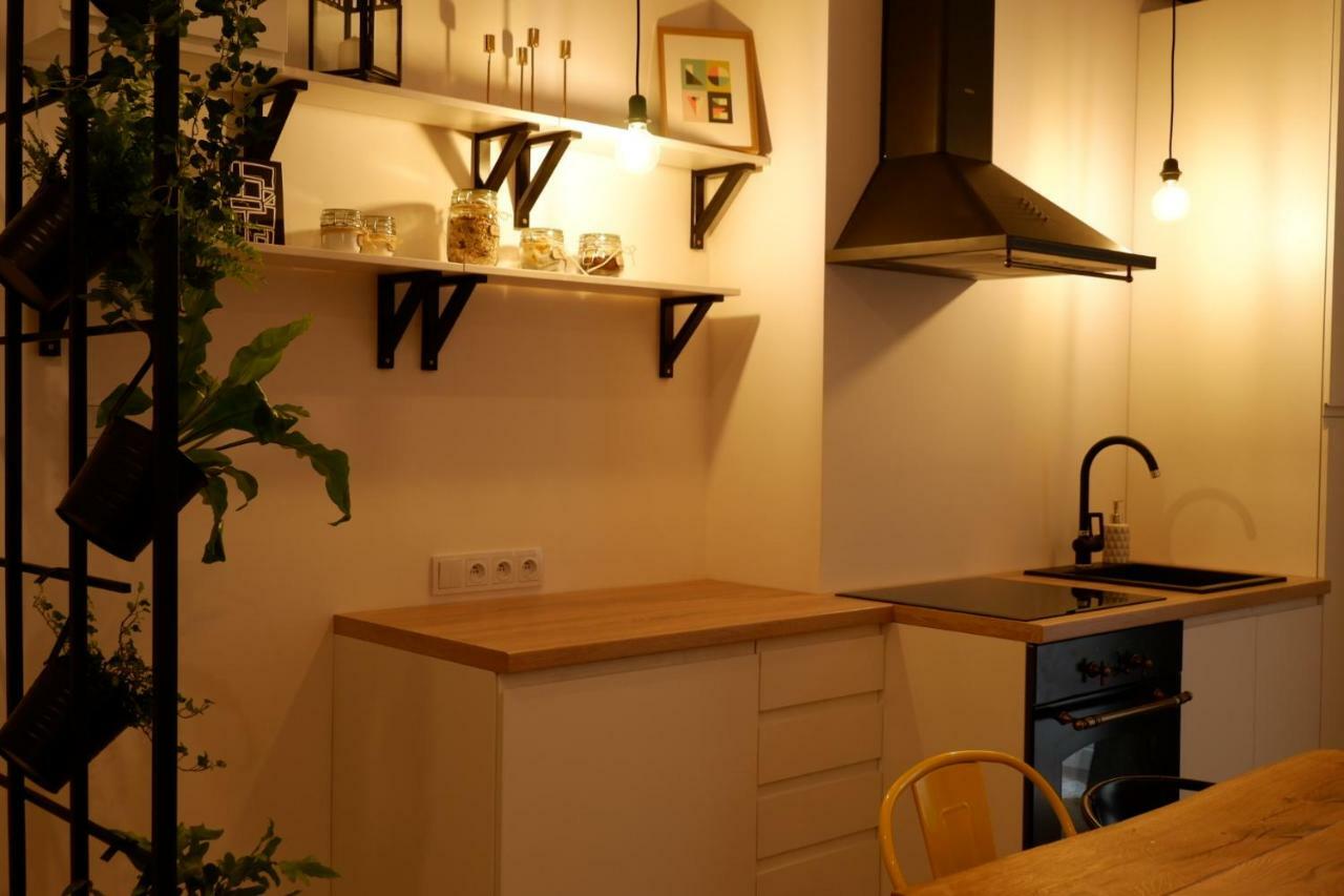 Singer Apartment Old Town Краків Екстер'єр фото